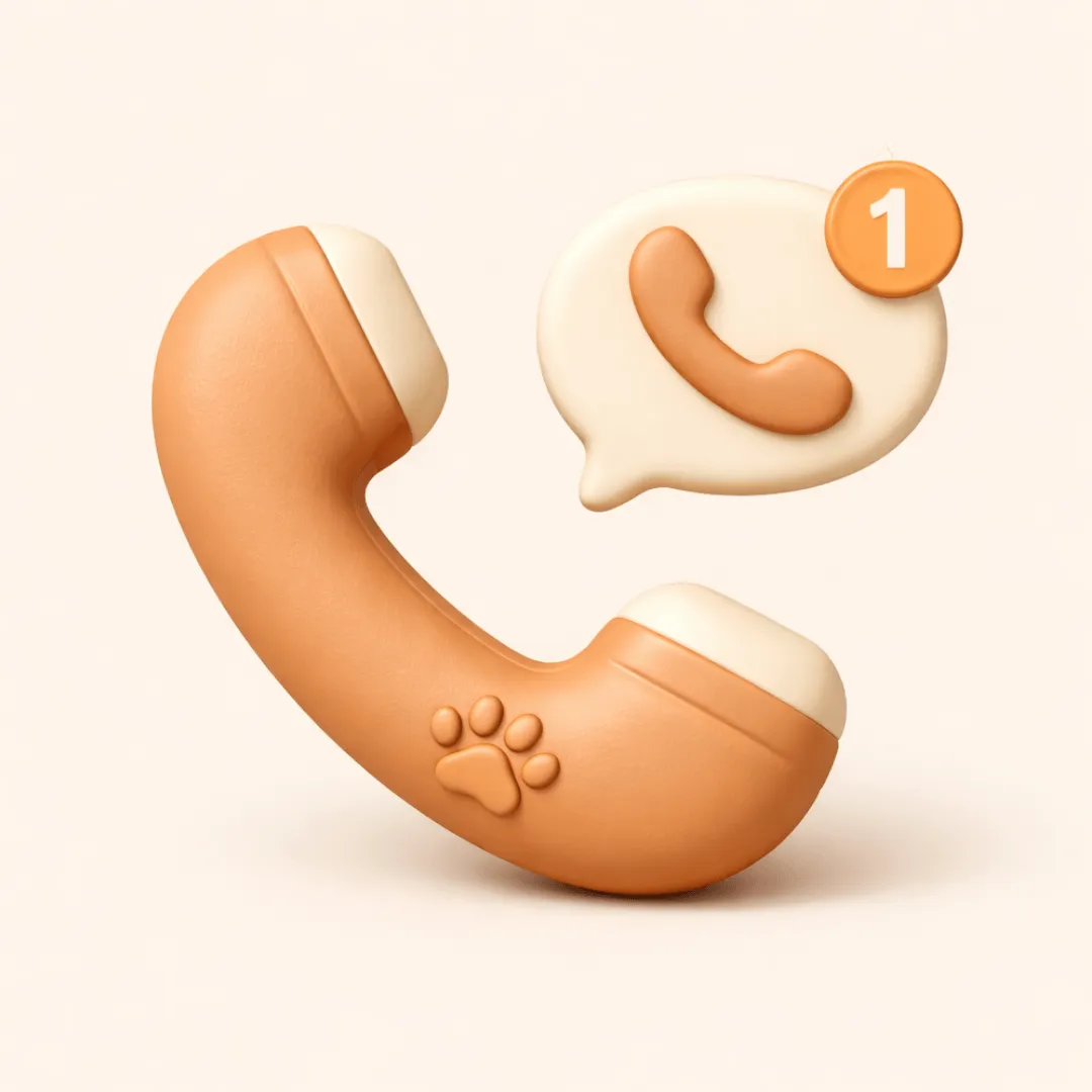 phone